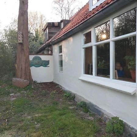 Vogelvrij Villa Vierhuizen Exterior photo