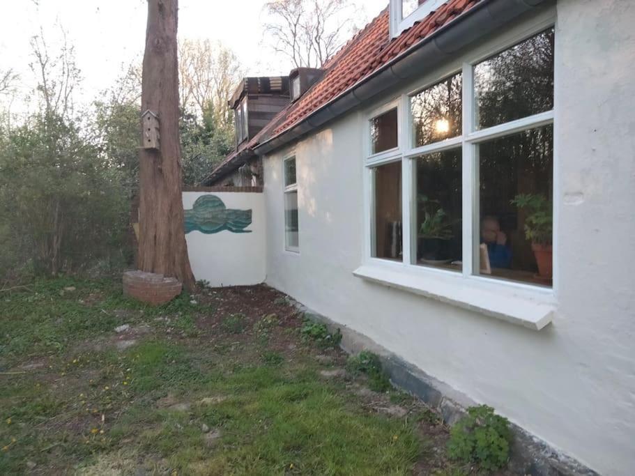Vogelvrij Villa Vierhuizen Exterior photo